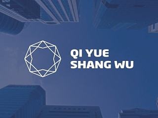商务公司 高端VI logo设计 