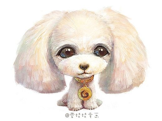 【萌宠 by 雪娃娃】泰迪小公举