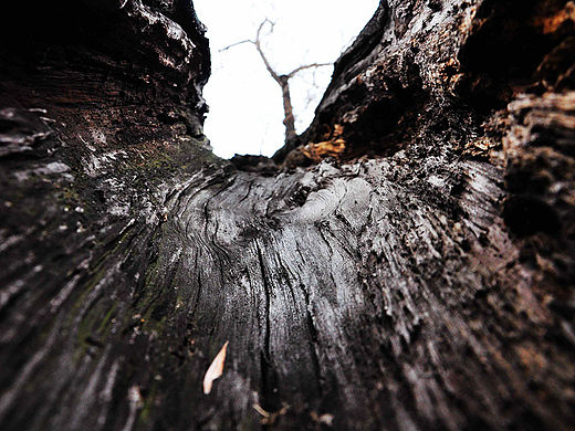 时间（个人主页-ZMTQ4NDY5NDg=） - 产品摄影 - 站酷设计师夏天疯了原创素材 - 站酷ZCOOL