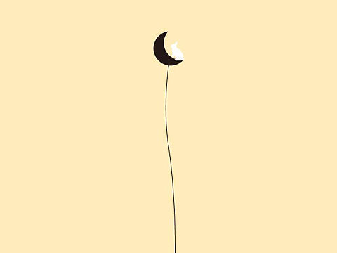 中秋壁纸