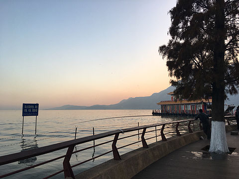 我不识字（个人主页-ZMTk2Mjk1ODg=） - 其他摄影 - 站酷设计师盐蛋蛋的大千世界原创素材 - 站酷ZCOOL