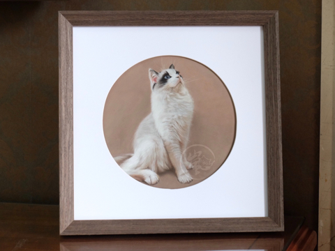 客订色粉画--布偶猫