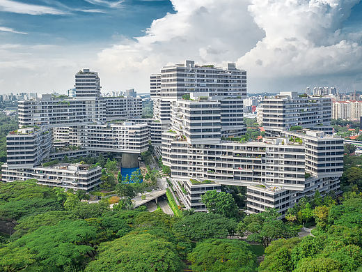 The Interlace