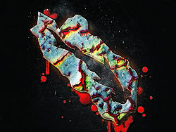 海洋生命---生命逝去