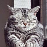 xi_fencha的头像