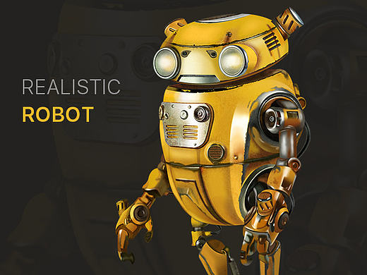 Realistic Robot