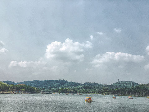 背景