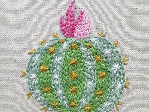 小仙人掌集合:cactus::cactus::cactus: