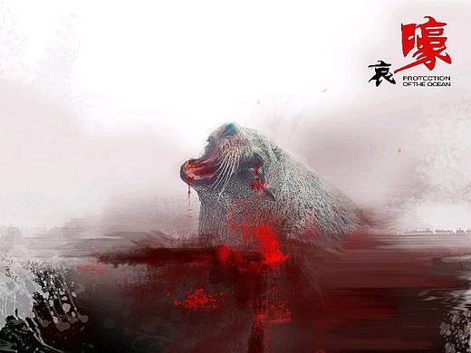 保护海洋