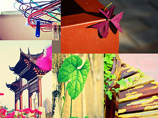 小清新静物摄影作品