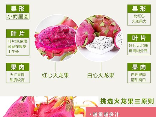 下雨天，酸奶和火龙果更配哦（个人主页-ZMTI0ODg2MDA=） - 电商 - 站酷设计师丶执念原创素材 - 站酷ZCOOL