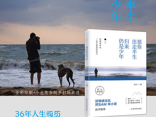 《愿你出走半生，归来还是少年》图书海报