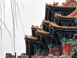 19年初北京的雪