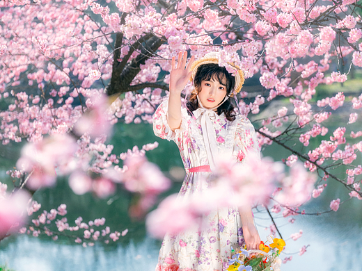 ·一起赏樱吧~