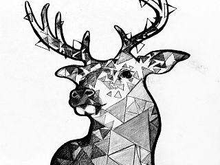 一個(gè)關(guān)于“鹿”的手繪插畫（個(gè)人主頁-ZNjc4MDE0MA==） - 創(chuàng)作習(xí)作 - 站酷設(shè)計(jì)師在爺原創(chuàng)素材 - 站酷ZCOOL