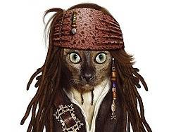 当动物扮成人后（个人主页-ZMjAwNzczMg==） - 宣传物料 - 站酷设计师wangzhaodi原创素材 - 站酷ZCOOL