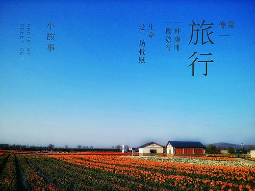 旅行？遇见美好！