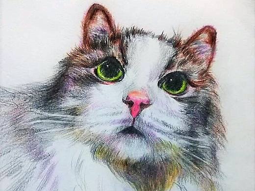 铅笔渣作