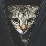 1ucky的头像
