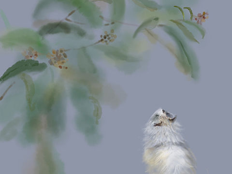 《不用心情太坏》