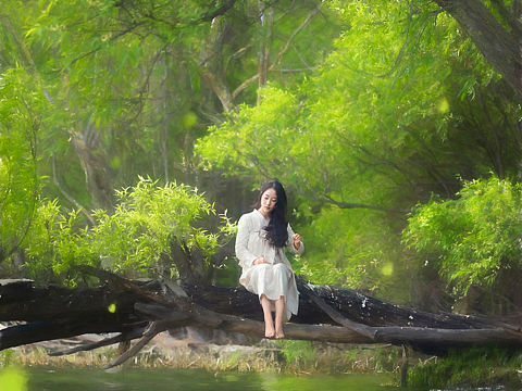时光清浅，许你安然，愿流年不负，岁月可期