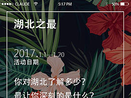 投票类