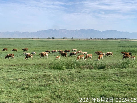 草原美（個人主頁-ZNjA0MzIzMDA=） - 風光攝影 - 站酷設計師過風原創(chuàng)素材 - 站酷ZCOOL