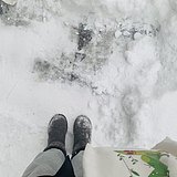 用戶頭像