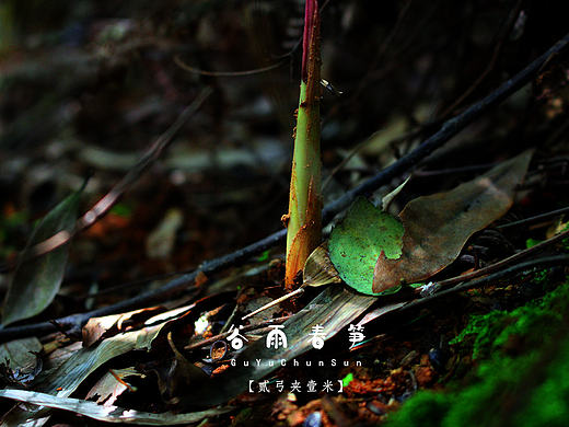 【二弓夹一米】ta那么美,多瞟一眼