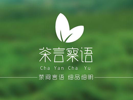 茶言察语
