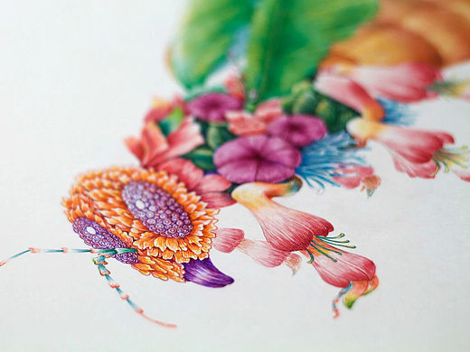 舒展《昆虫记—蜜蜂》