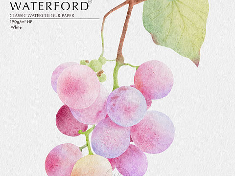 IPAD水彩｜粉色系葡萄（个人主页-ZNTgxOTQ4MDg=） - 绘画 - 站酷设计师菜头粿子圆又圆原创素材 - 站酷ZCOOL