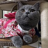 GRETAZDJ的头像
