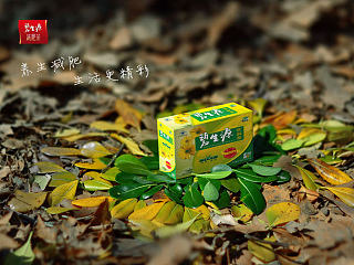 碧生源广告海报——养生篇