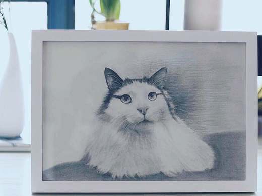 素描（個人主頁-ZMTYyNzM4NTI=） - 繪畫 - 站酷設(shè)計(jì)師我就是一個虛原創(chuàng)素材 - 站酷ZCOOL