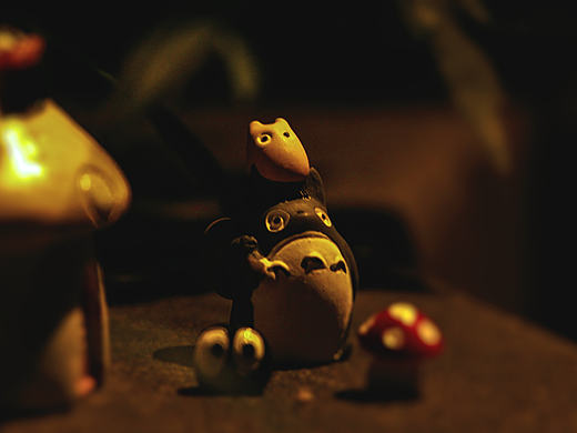 下雨啦，TOTORO