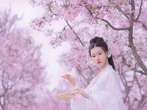 采樱