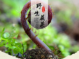 山野蕨菜详情页