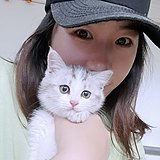 爱打球的海绵的头像
