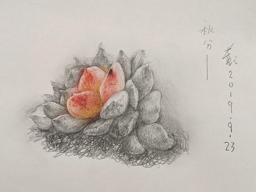 秋分（个人主页-ZMzk0MDQ5MDQ=） - 绘画 - 站酷设计师董之原创素材 - 站酷ZCOOL