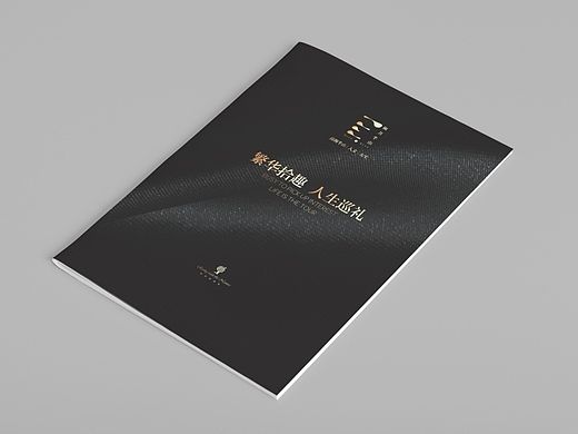 掬月半山顶层复式手册