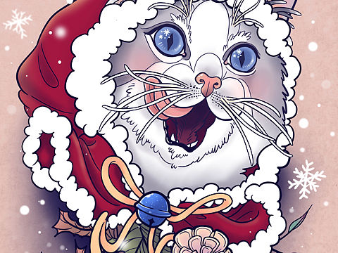procreate插画练习—圣诞猫系列