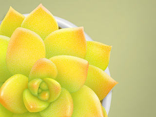 多肉图标一枚~（个人主页-ZNjUwMTA0NA==） - 图标 - 站酷设计师MoliZ原创素材 - 站酷ZCOOL