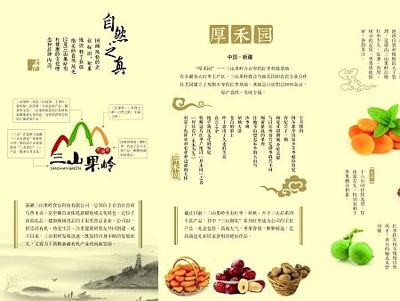 原创：新疆红枣，三山果岭，复古，韵味，自然美食风格五折页《真.味》