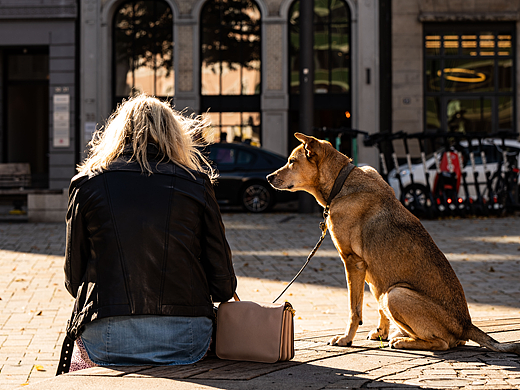 左手一把阳光,右手一把雨