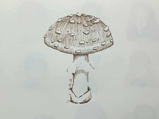 day 12