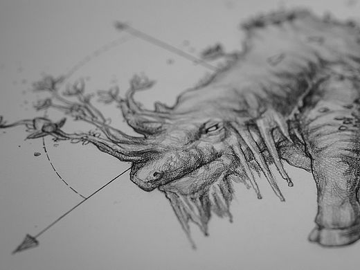 破茧成蝶的季节