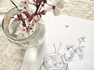 植物水彩插画