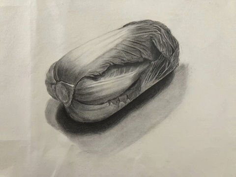 手繪-白菜君（個(gè)人主頁-ZMzMwNjI3OTI=） - 藝術(shù)插畫 - 站酷設(shè)計(jì)師愛畫畫的小斑馬原創(chuàng)素材 - 站酷ZCOOL