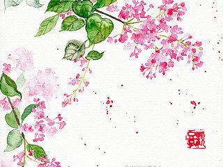 水彩插画-丁香
